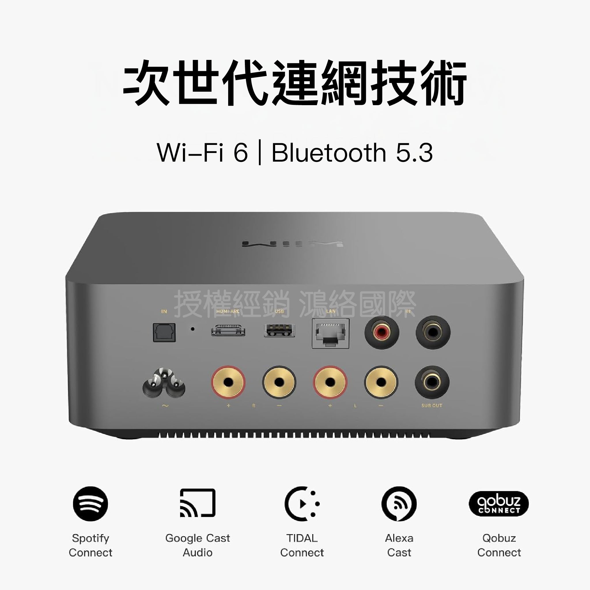 🔥 預購中 WiiM Amp Ultra