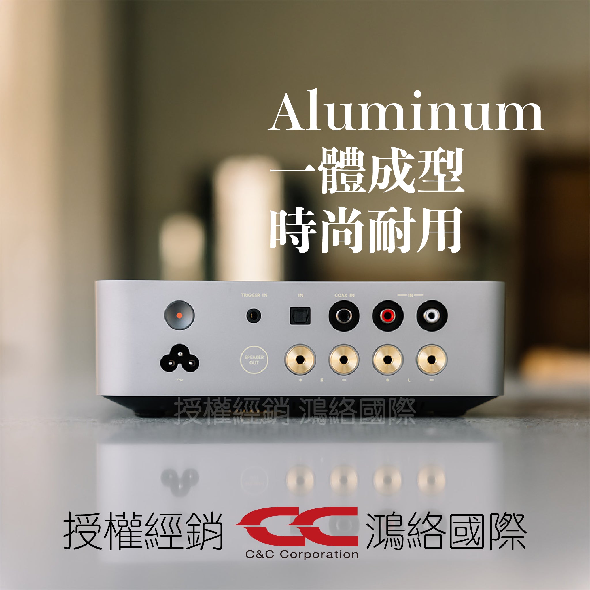 WiiM Vibelink Amp