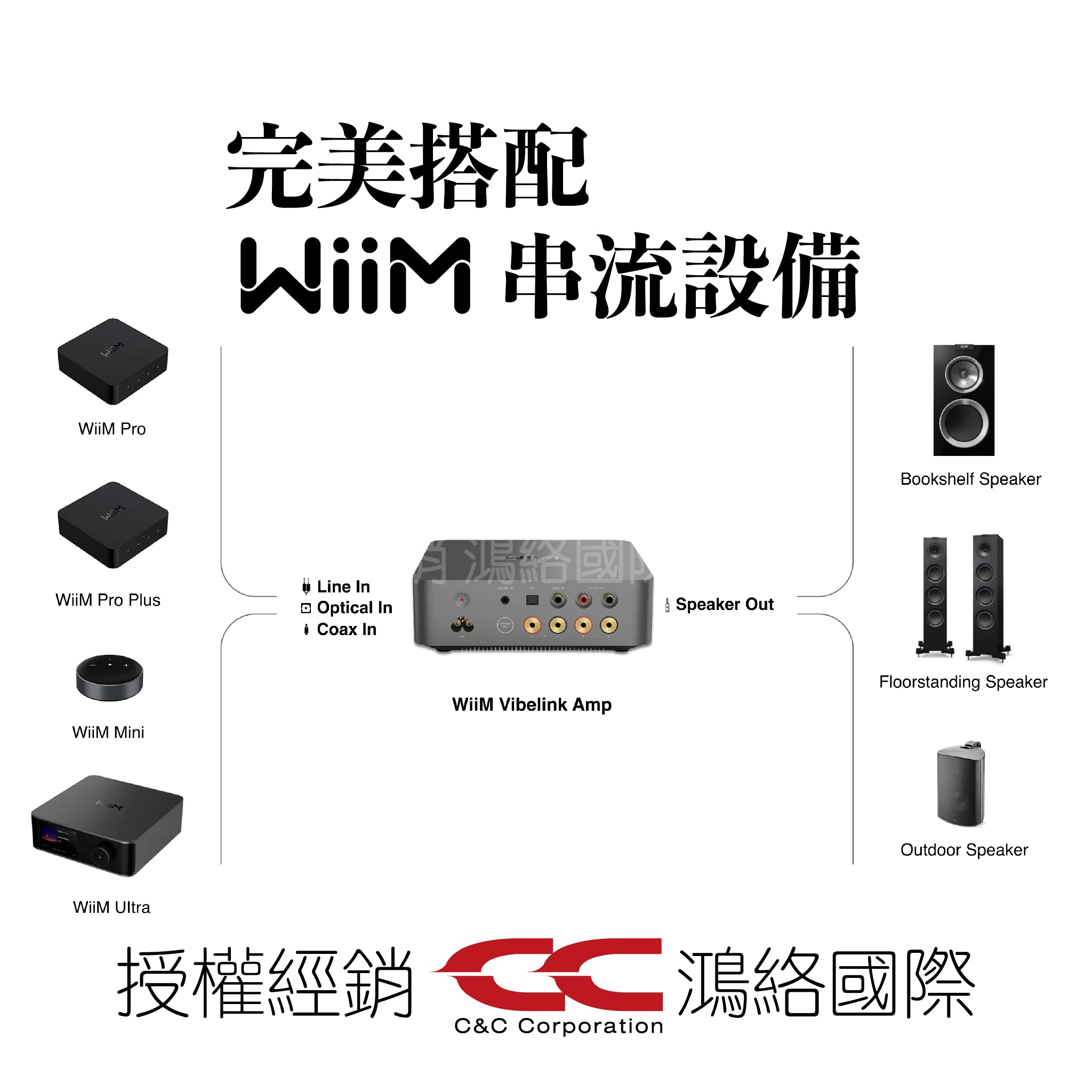 WiiM Vibelink Amp