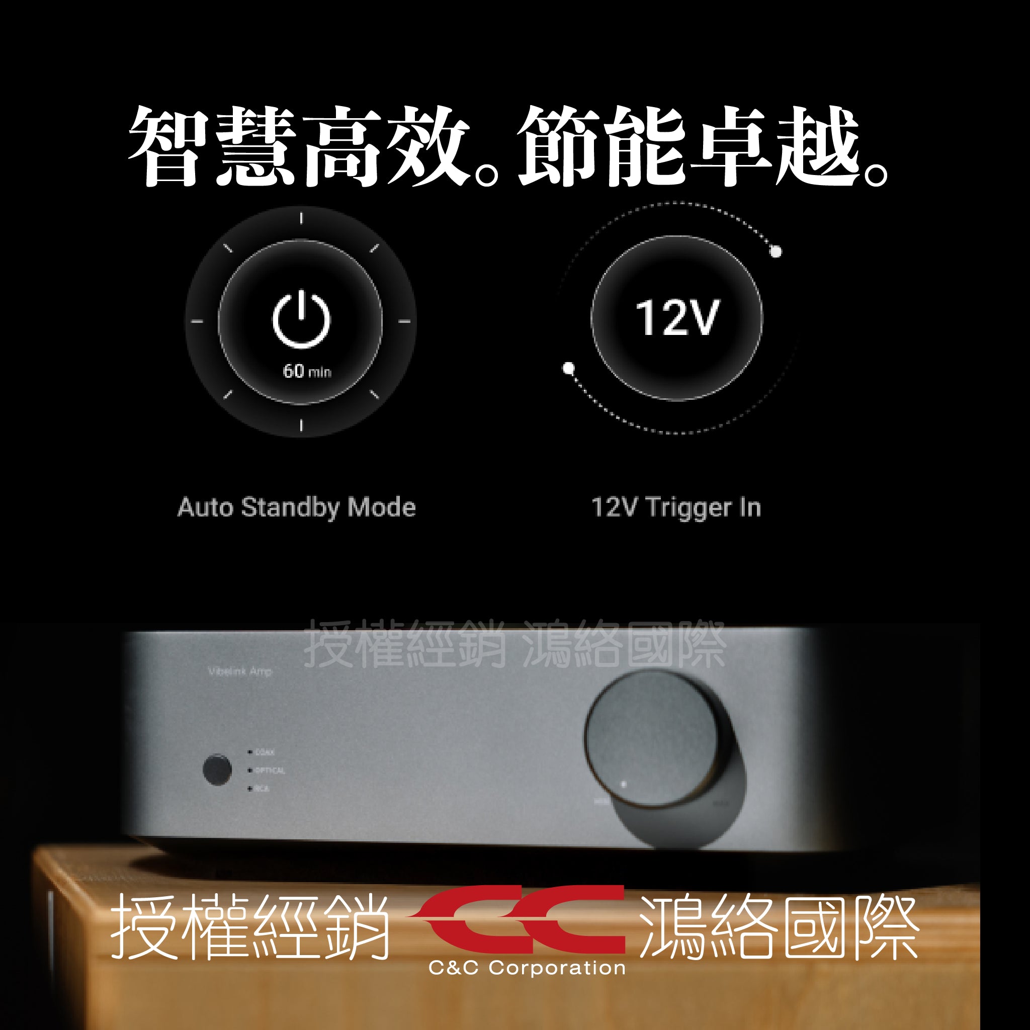 WiiM Vibelink Amp
