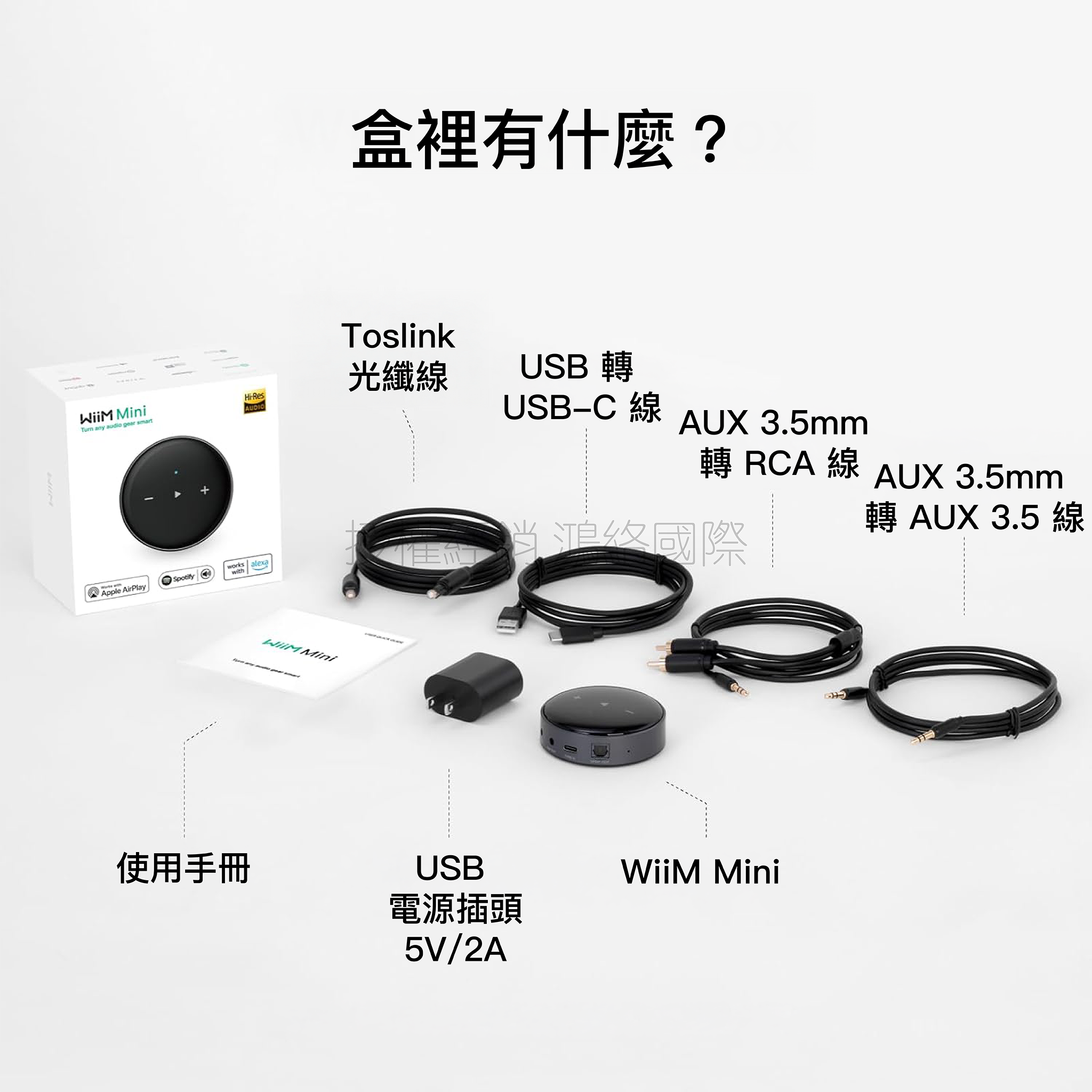 WiiM Mini