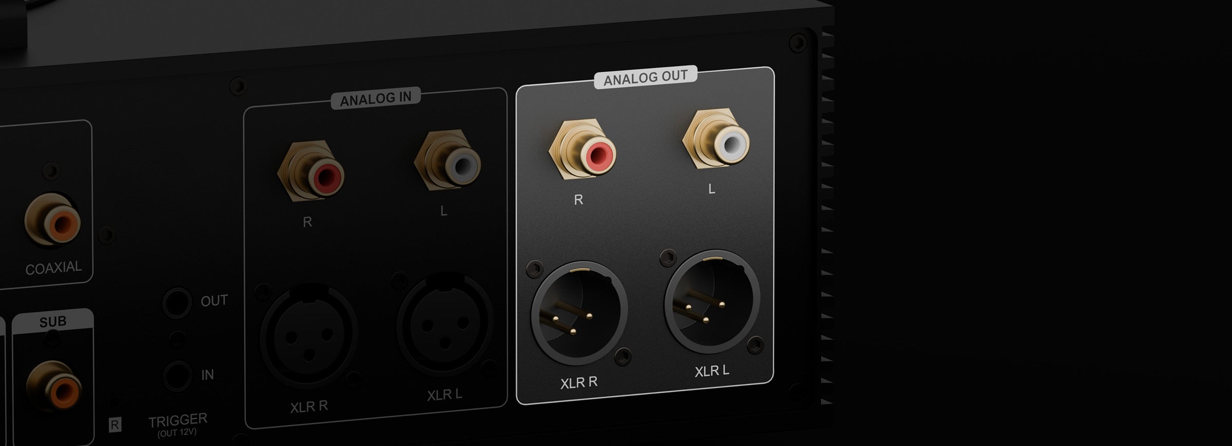 Eversolo DMP-A8 Gen 2 XLR 與 RCA 類比輸出介面