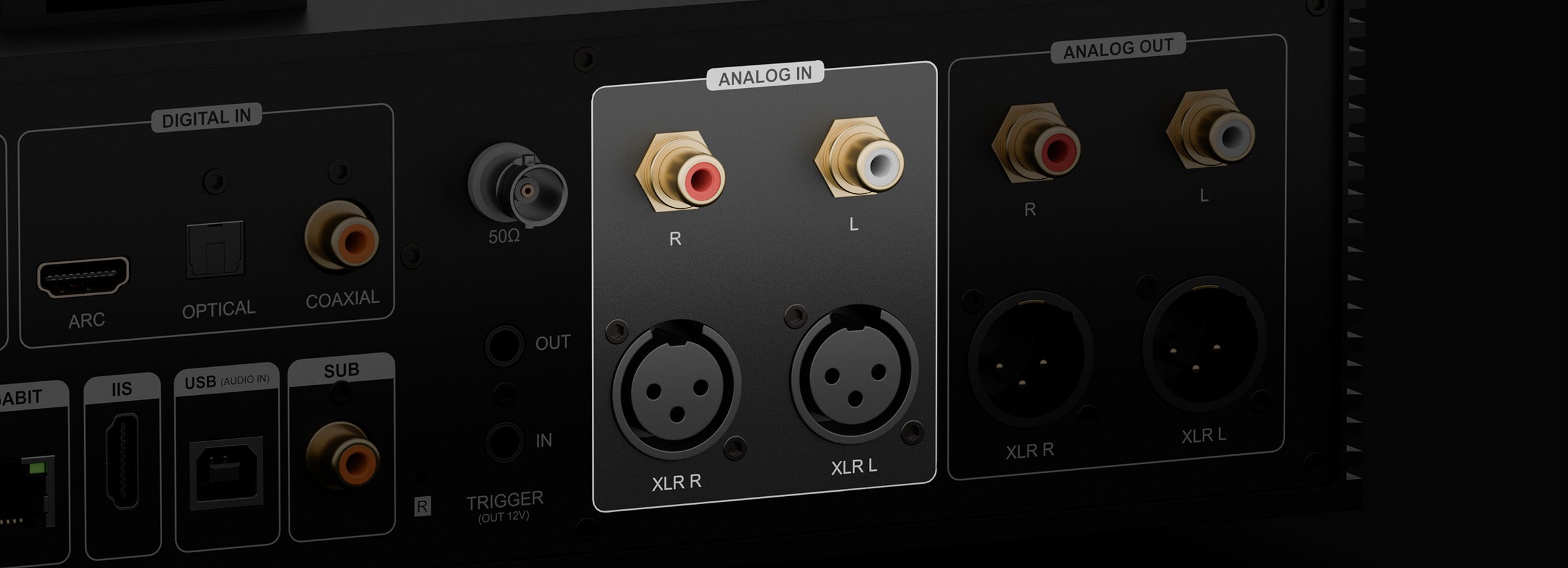 Eversolo DMP-A8 Master Gen 2 XLR／RCA 類比輸入